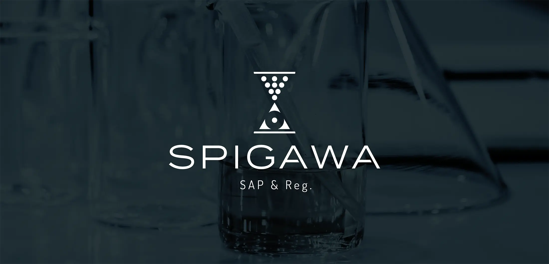 Identité visuelle - SPIGAWA