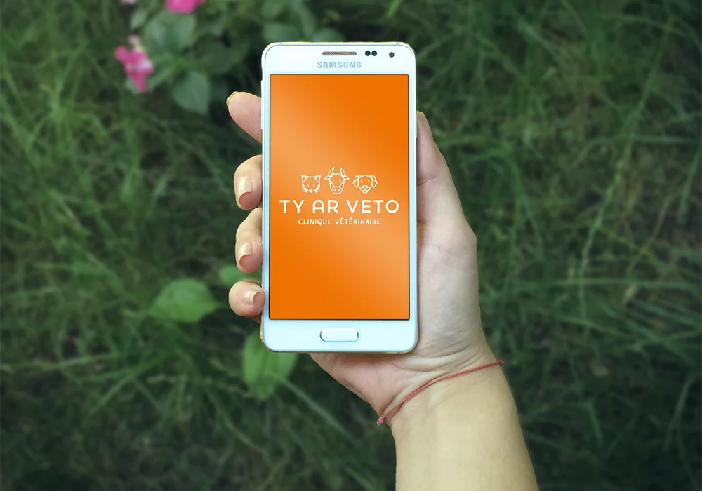 Identité visuelle - Ty Ar Veto